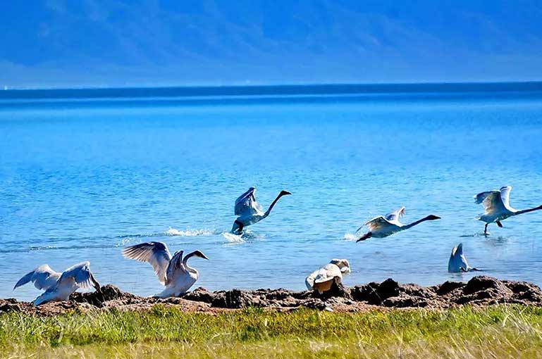 新疆北疆+伊犁+伊宁市+那拉提旅游风景区+赛里木湖+石河子4日3晚跟团游